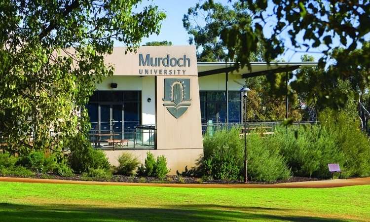 Học bổng ĐH Murdoch, Úc cho sinh viên quốc tế 2017-2018